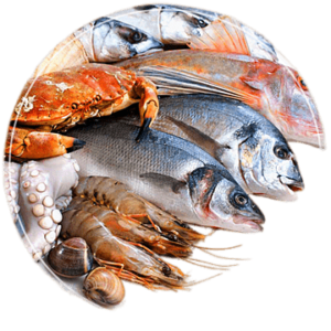 Dry Seafood