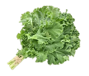 Vegetables